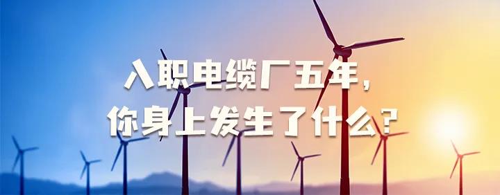 入職電纜廠五年，你身上發(fā)生了哪些變化~